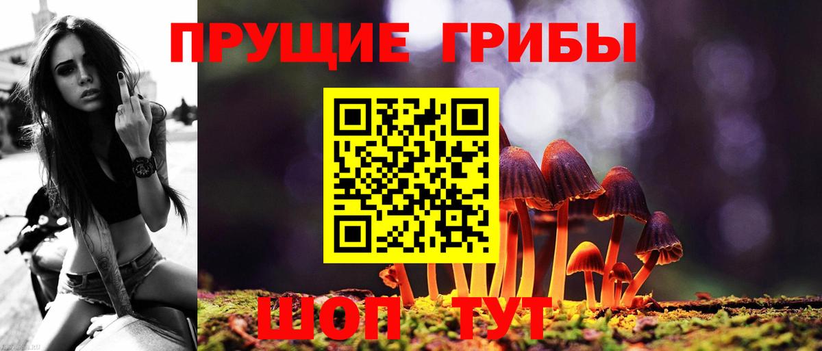 Псилоцибиновые грибы Psilocybine cubensis  Вход с VPN  Лянтор  Псилоцибиновые грибы Psilocybe 